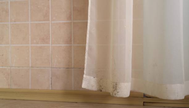 Best Mold Remediation for Healthcare Facilities  in Reinbeck, IA