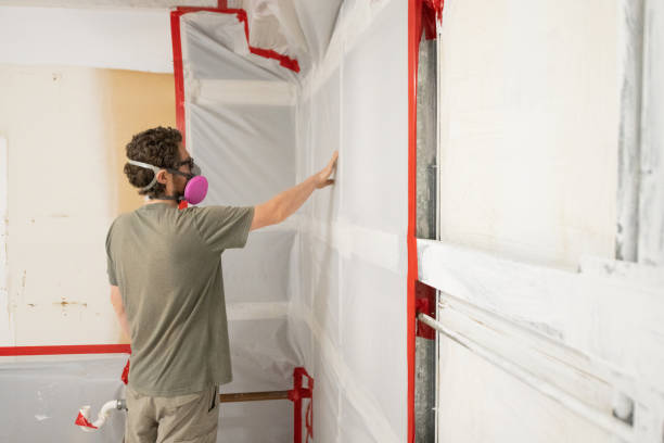 Best Industrial Mold Remediation  in Reinbeck, IA