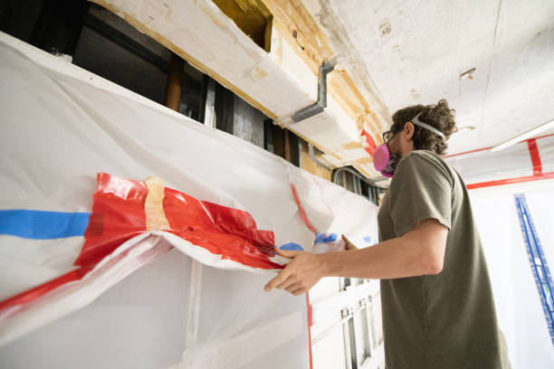 Best Basement Mold Removal  in Reinbeck, IA