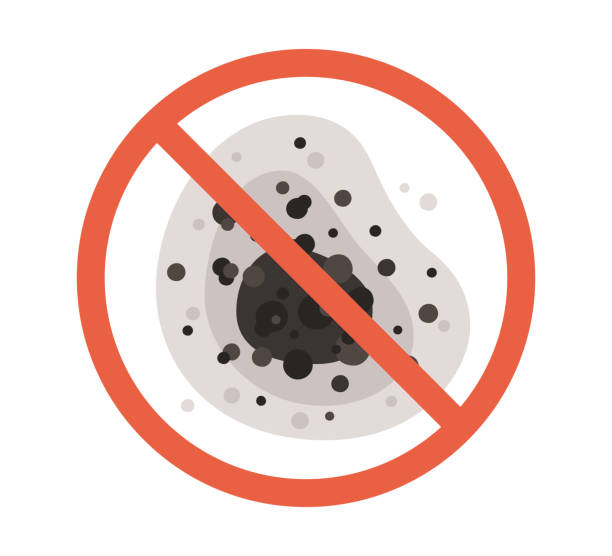 Best Biohazard Mold Removal  in Reinbeck, IA