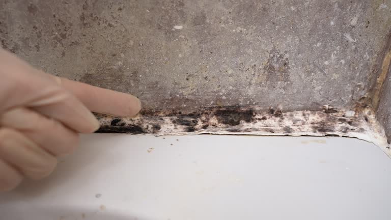 Best Indoor Air Quality Assessment  in Reinbeck, IA